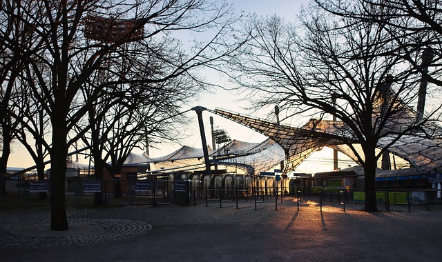 水平上展示