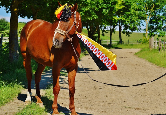 但亞歷山大 但亞歷山大